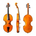 Stauffer's  violin  1828